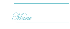 Cheryl's Mane Attraction logo with silhouette illustration of women's face.